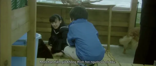 Xem phim Wasao Vietsub HD tại TVHay Xem phim Wasao Vietsub HD tại TVHay