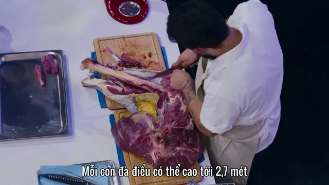 Xem phim Iron Chef: Mexico Vietsub HD tại TVHay Xem phim Iron Chef: Mexico Vietsub HD tại TVHay