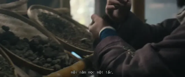 Xem phim Long Hổ Sơn Trương Thiên Sư: Kỳ Lân Vietsub HD tại TVHay Xem phim Long Hổ Sơn Trương Thiên Sư: Kỳ Lân Vietsub HD tại TVHay