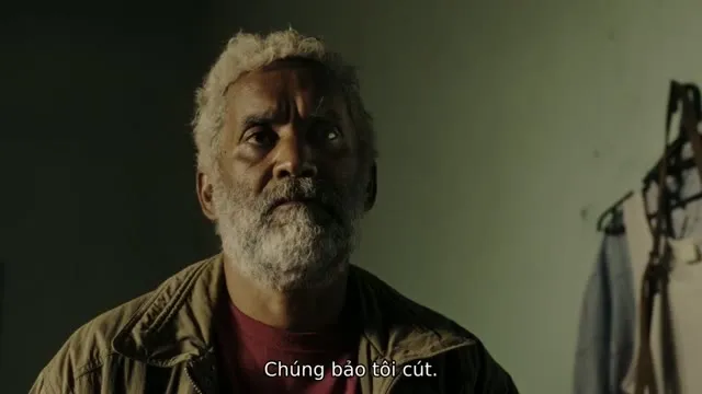 Chú Chó Togo 2019 Vietsub HD - TVHay Chú Chó Togo 2019 Vietsub HD - TVHay