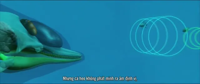 Xem phim Lucy Siêu Phàm Vietsub HD tại TVHay Xem phim Lucy Siêu Phàm Vietsub HD tại TVHay