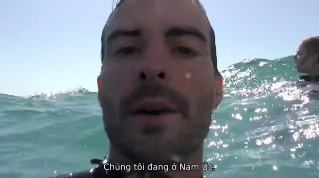 Hình ảnh trong phim Mồi Cá Mập trên TVHay Hình ảnh trong phim Mồi Cá Mập trên TVHay