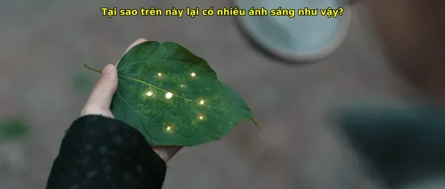 Xem phim Đường Tương (Hạ) Linh Thành Song Sinh Vietsub HD tại TVHay Xem phim Đường Tương (Hạ) Linh Thành Song Sinh Vietsub HD tại TVHay
