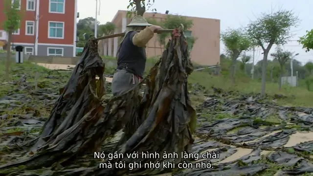 Hình ảnh trong phim Thang Bắc Lên Trời: Nghệ Thuật Của Thái Quốc Cường trên TVHay Hình ảnh trong phim Thang Bắc Lên Trời: Nghệ Thuật Của Thái Quốc Cường trên TVHay