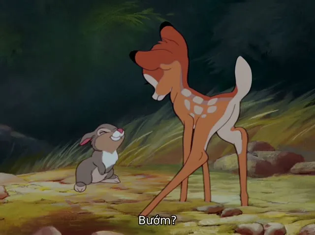 Xem phim Chú Nai Bambi Vietsub HD tại TVHay Xem phim Chú Nai Bambi Vietsub HD tại TVHay