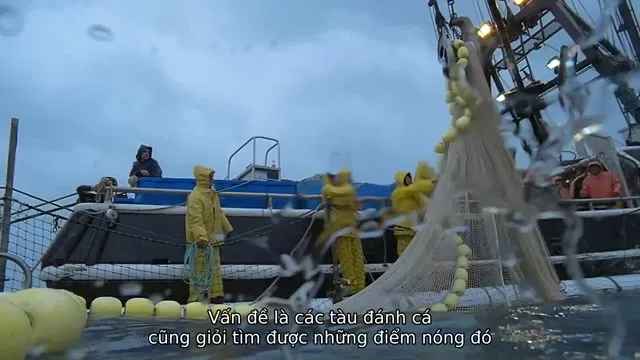 Hình ảnh trong phim David Attenborough: Một Cuộc Đời Trên Trái Đất trên TVHay Hình ảnh trong phim David Attenborough: Một Cuộc Đời Trên Trái Đất trên TVHay
