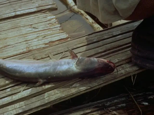 Sự Phẫn Nộ Của Thần Linh 1972 Vietsub HD - TVHay Sự Phẫn Nộ Của Thần Linh 1972 Vietsub HD - TVHay