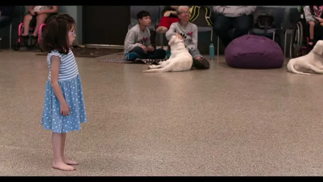 Những Chú Chó 2018 Vietsub HD - TVHay Những Chú Chó 2018 Vietsub HD - TVHay
