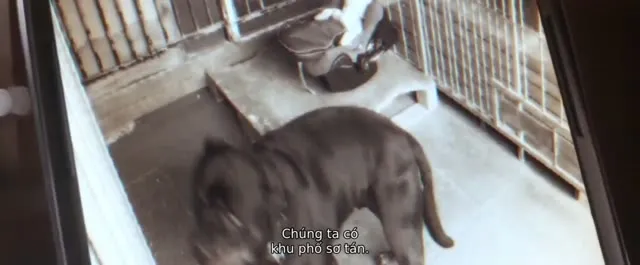 Hình ảnh trong phim Kẻ Bắt Cóc Giấu Mặt trên TVHay Hình ảnh trong phim Kẻ Bắt Cóc Giấu Mặt trên TVHay