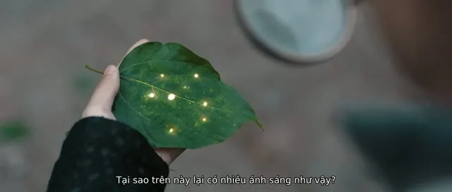 Xem phim Đường Chuyên 1: Địa Ngục Hoa Cốc Vietsub HD tại TVHay Xem phim Đường Chuyên 1: Địa Ngục Hoa Cốc Vietsub HD tại TVHay