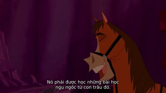 Quê Hương Trên Đồng Cỏ 2004 Vietsub HD - TVHay Quê Hương Trên Đồng Cỏ 2004 Vietsub HD - TVHay