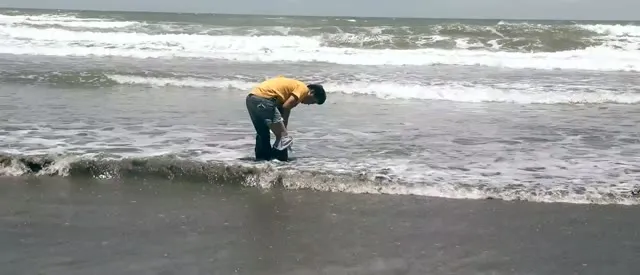 Xem phim Bí Ẩn Gián điệp Vietsub HD tại TVHay Xem phim Bí Ẩn Gián điệp Vietsub HD tại TVHay