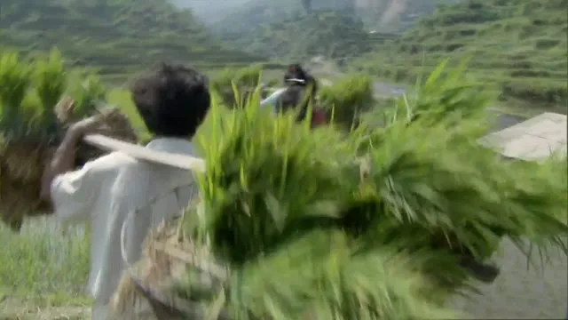 Xem phim Thiên Nhiên Hoang Dã Trung Quốc Vietsub HD tại TVHay Xem phim Thiên Nhiên Hoang Dã Trung Quốc Vietsub HD tại TVHay