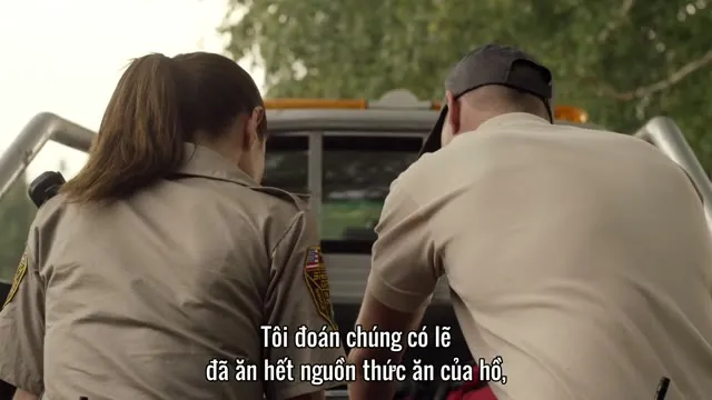 Hình ảnh trong phim Hồ Cá Sấu Đối Đầu Trăn Khổng Lồ trên TVHay Hình ảnh trong phim Hồ Cá Sấu Đối Đầu Trăn Khổng Lồ trên TVHay