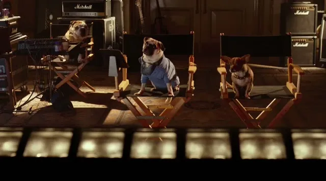 Hình ảnh trong phim Những Chú Chó Chihuahua 3 trên TVHay Hình ảnh trong phim Những Chú Chó Chihuahua 3 trên TVHay