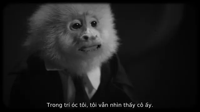 JACK ĐÃ LÀM GÌ? 2020 Vietsub HD - TVHay JACK ĐÃ LÀM GÌ? 2020 Vietsub HD - TVHay