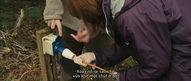 Xem phim Khách Tham Quan Vietsub HD tại TVHay Xem phim Khách Tham Quan Vietsub HD tại TVHay