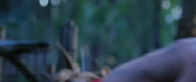 Jungle Run 2021 Vietsub HD - TVHay Jungle Run 2021 Vietsub HD - TVHay