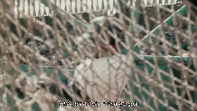 Reggie 2023 Vietsub HD - TVHay Reggie 2023 Vietsub HD - TVHay