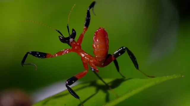 Hình ảnh trong phim Câu Chuyện Cuộc Sống trên TVHay Hình ảnh trong phim Câu Chuyện Cuộc Sống trên TVHay
