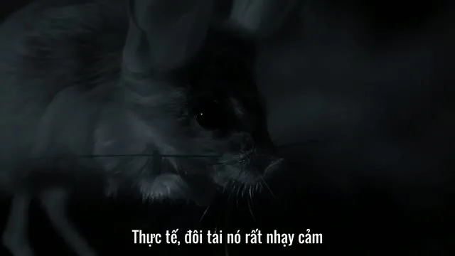 Câu Chuyện Cuộc Sống 2014 Vietsub HD - TVHay Câu Chuyện Cuộc Sống 2014 Vietsub HD - TVHay