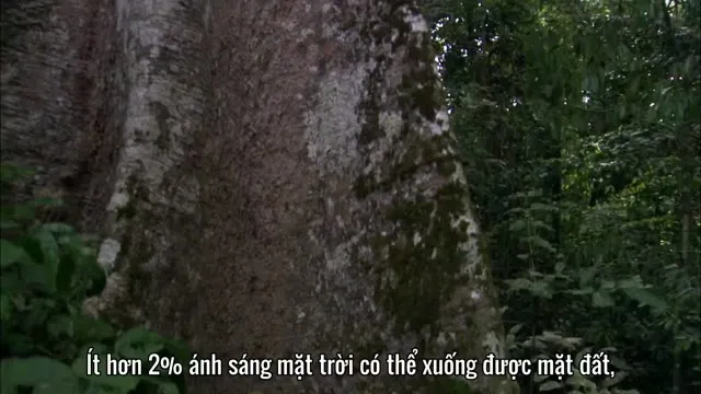 Hình ảnh trong phim Hành Trình Trái Đất trên TVHay Hình ảnh trong phim Hành Trình Trái Đất trên TVHay