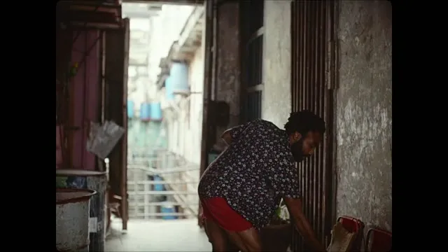 Xem phim Đảo Guava Vietsub HD tại TVHay Xem phim Đảo Guava Vietsub HD tại TVHay