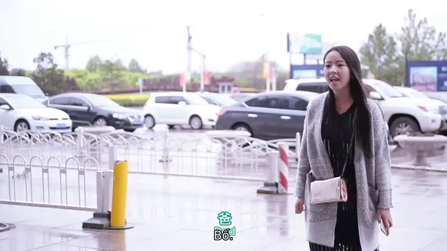 Xem phim Quyết Tâm Của Chó Vietsub HD tại TVHay Xem phim Quyết Tâm Của Chó Vietsub HD tại TVHay