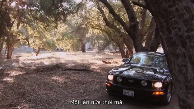 Xem phim Khai Quật Tổ Quỷ Vietsub HD tại TVHay Xem phim Khai Quật Tổ Quỷ Vietsub HD tại TVHay