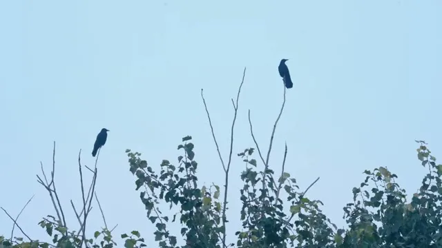 Xem phim Thiếu Niên Bóng Chày Vietsub HD tại TVHay Xem phim Thiếu Niên Bóng Chày Vietsub HD tại TVHay