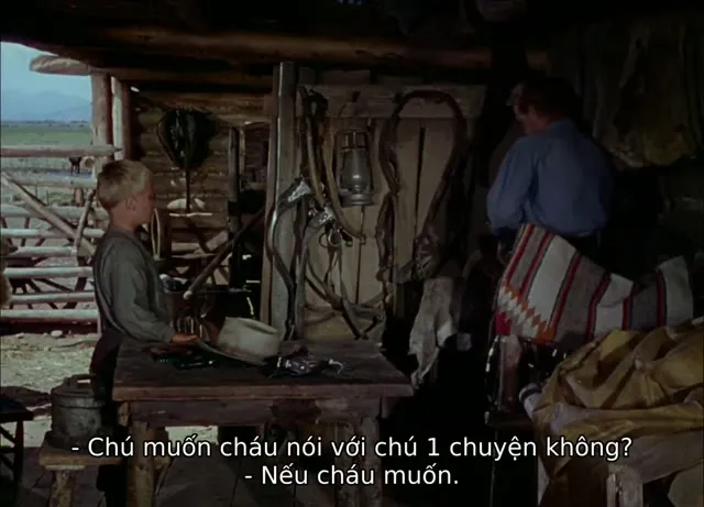 Hình ảnh trong phim Shane trên TVHay Hình ảnh trong phim Shane trên TVHay