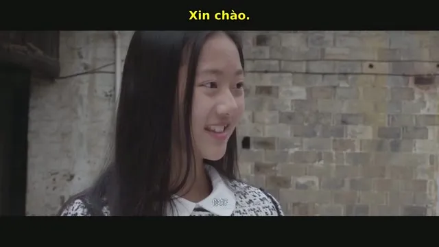Xem phim Tìm Gốc Vietsub HD tại TVHay Xem phim Tìm Gốc Vietsub HD tại TVHay