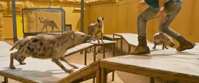 Kung Fu Yoga 2017 Vietsub HD - TVHay Kung Fu Yoga 2017 Vietsub HD - TVHay