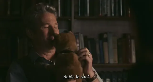 Xem phim Hachiko Chú Chó Trung Thành Vietsub HD tại TVHay Xem phim Hachiko Chú Chó Trung Thành Vietsub HD tại TVHay