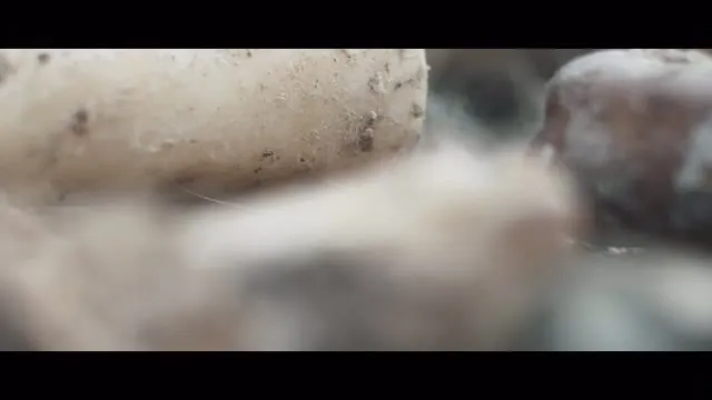 Xem phim Ba Lần Chết Của Marisela Escobedo Vietsub HD tại TVHay Xem phim Ba Lần Chết Của Marisela Escobedo Vietsub HD tại TVHay