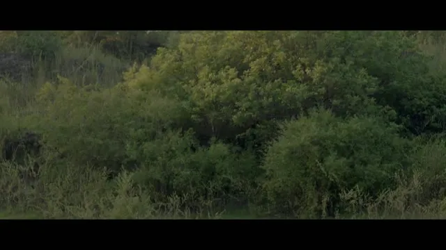 Arisaka 2020 Vietsub HD - TVHay Arisaka 2020 Vietsub HD - TVHay