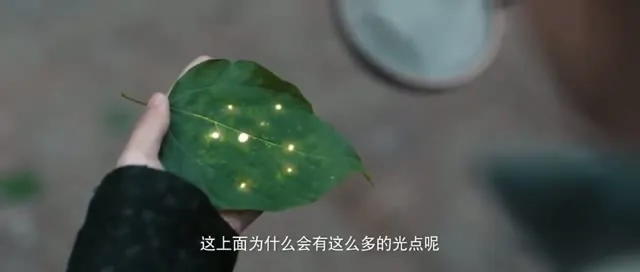 Hình ảnh trong phim Đường Chuyên 2: Linh Vực Song Song trên TVHay Hình ảnh trong phim Đường Chuyên 2: Linh Vực Song Song trên TVHay