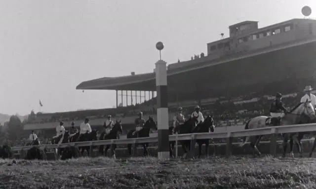 The Killing 1956 Vietsub HD - TVHay The Killing 1956 Vietsub HD - TVHay