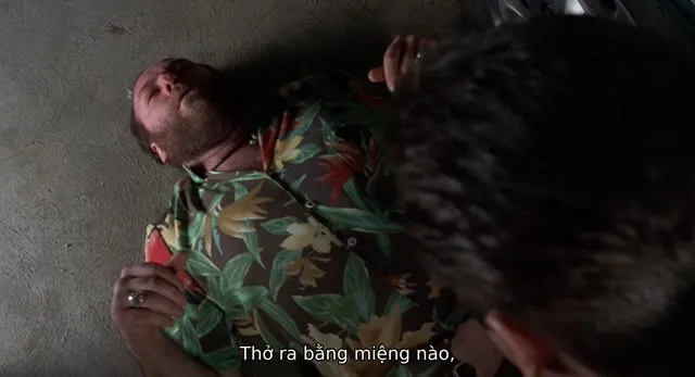 Giang Hồ Mê Điện Ảnh 1995 Vietsub HD - TVHay Giang Hồ Mê Điện Ảnh 1995 Vietsub HD - TVHay