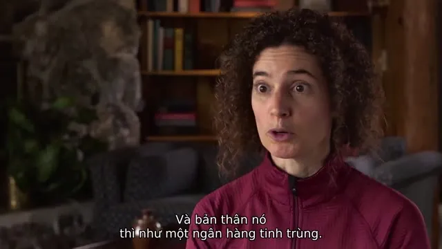 Cá Đen 2013 Vietsub HD - TVHay Cá Đen 2013 Vietsub HD - TVHay
