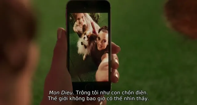 Hình ảnh Biệt Đội Cún Cưng tập 1 trên TVHay Hình ảnh Biệt Đội Cún Cưng tập 1 trên TVHay
