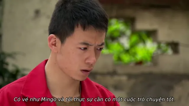 Người Anh Em Xa Lạ 2017 Vietsub HD - TVHay Người Anh Em Xa Lạ 2017 Vietsub HD - TVHay