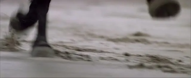 Xem phim Ám Sát John F. Kennedy Vietsub HD tại TVHay Xem phim Ám Sát John F. Kennedy Vietsub HD tại TVHay