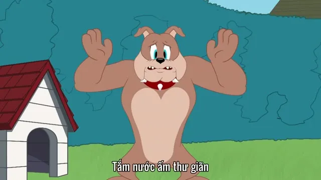The Tom and Jerry Show (Phần 2) 2014 Vietsub HD - TVHay The Tom and Jerry Show (Phần 2) 2014 Vietsub HD - TVHay