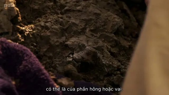 Dinosaurs: The Final Day with David Attenborough 2022 Vietsub HD - TVHay Dinosaurs: The Final Day with David Attenborough 2022 Vietsub HD - TVHay