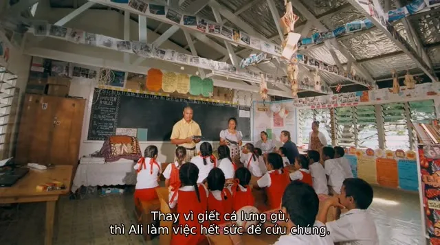 Xem phim Cá Voi Lưng Gù Vietsub HD tại TVHay Xem phim Cá Voi Lưng Gù Vietsub HD tại TVHay