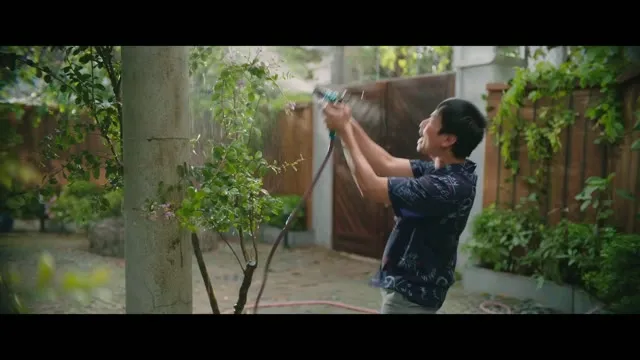 Xem phim Anh Trai Yêu Quái Vietsub HD tại TVHay Xem phim Anh Trai Yêu Quái Vietsub HD tại TVHay