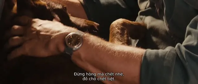 Hình ảnh trong phim Chú Chó Đỏ trên TVHay Hình ảnh trong phim Chú Chó Đỏ trên TVHay