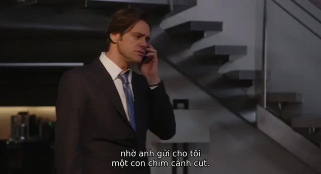 Xem phim Bầy Cánh Cụt Nhà Popper Vietsub HD tại TVHay Xem phim Bầy Cánh Cụt Nhà Popper Vietsub HD tại TVHay
