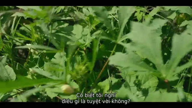 Bàn Của Bếp Trưởng (Phần 6) 2019 Vietsub HD - TVHay Bàn Của Bếp Trưởng (Phần 6) 2019 Vietsub HD - TVHay